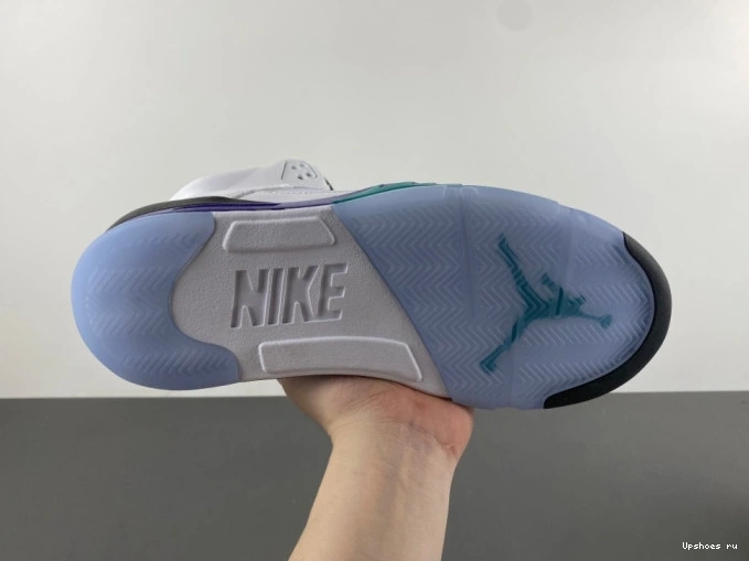 5 Jordan (2025)    Retro HQ7978-100 Grape  1103